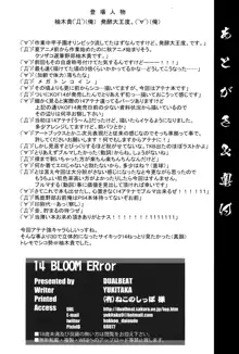 14 BLOOM ERror, 日本語