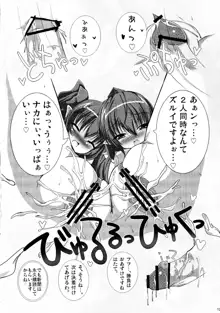 東方騎乗位合同誌 騎乗領土, 日本語