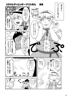 東方騎乗位合同誌 騎乗領土, 日本語