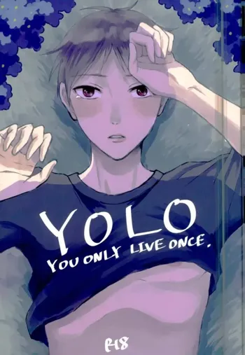 YOLO, 日本語