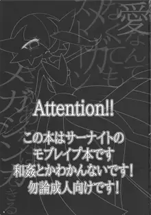 愛なんてなくてもメガストーンさえあればメガシンカできる, 日本語