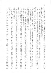 輪姦媚薬中毒 -逃げ場無し!1428人の生徒全員にSEXされる令嬢沙也香-, 日本語