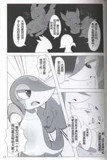 Pokéda | 宝可堕, 中文