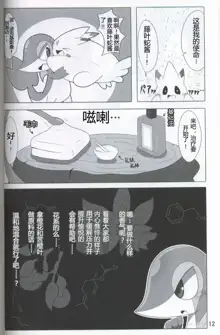 Pokéda | 宝可堕, 中文