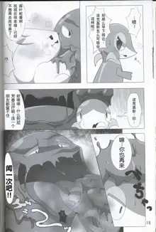 Pokéda | 宝可堕, 中文