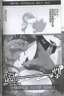 Pokéda | 宝可堕, 中文