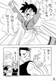 Go! Go! Videl!, 日本語