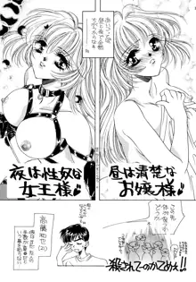 夏娘 総集編 ＜1995～1997＞, 日本語