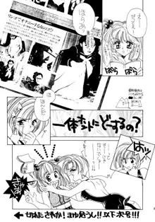 夏娘 総集編 ＜1995～1997＞, 日本語