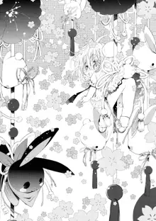 BLACK AND WHITE RABBIT 総集編, 日本語