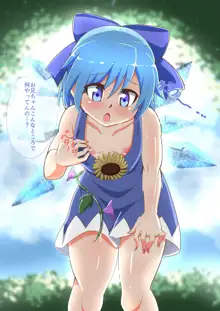 チョコレートアイスチルノ, 日本語