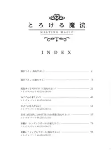 とろける魔法, 日本語