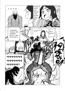 Shuten to Raikou no Yukemuri Daisakusen | 슈텐과 라이코의 모락모락 온천 대작전, 한국어