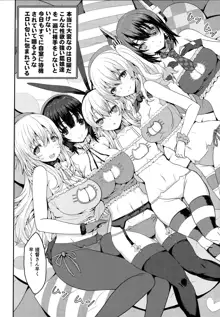 ドMな提督と性欲強めな艦娘の夜戦日誌!!, 日本語