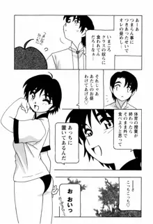 SCHOOL DAYS, 日本語