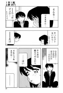 SCHOOL DAYS, 日本語