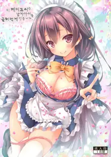 Kono Maid-san wa Otokonoko o Dame ni Shimasu., 한국어