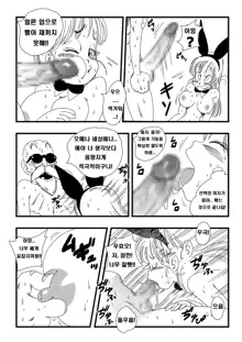 Bunny Girl Transformation, 한국어