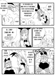 Bunny Girl Transformation, 한국어