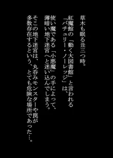 パチュリーのボアトラップダンジョン, 日本語