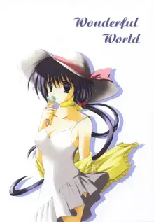 Wonderful World, 日本語