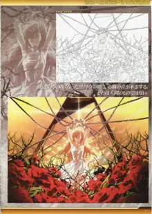 Dies irae Also - Acta est Fabula - Scharlachrot Grun - 同梱特典 Ein visuelles Facherbuch - 白本, 日本語