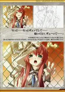 Dies irae Also - Acta est Fabula - Scharlachrot Grun - 同梱特典 Ein visuelles Facherbuch - 白本, 日本語