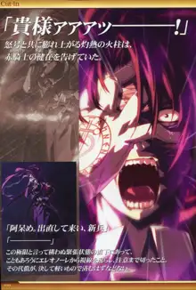 Dies irae Also - Acta est Fabula - Scharlachrot Grun - 同梱特典 Ein visuelles Facherbuch - 白本, 日本語