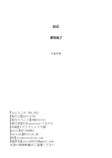 FetiColle Vol. 05, 中文