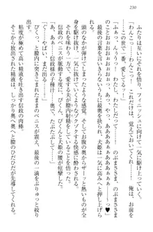 戦国犬姫!～信長の妹と新婚ライフ～, 日本語