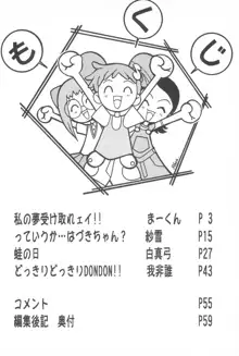 MAGEWAPPA vol.11, 日本語