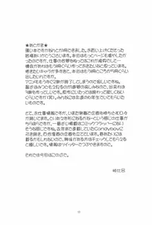 雌豚 杉崎ヒミツの放課後, 日本語