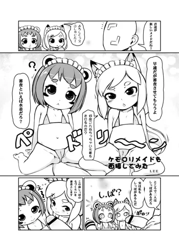 こどもちゃれんじゲスト原稿, 日本語