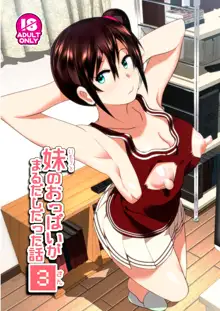 Imouto no Oppai ga Marudashi Datta Hanashi 3 (decensored), 中文