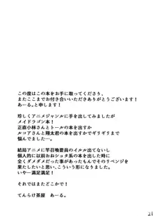 僕んちのエッチな使い魔, 日本語