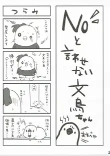 NOと言える？浜風ちゃん, 日本語