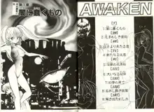 Awaken, 中文