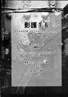 SHADOW DEFENCE 16, 日本語