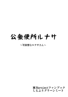 公衆便所ルナサ ～可哀想なルナサさん～, 日本語