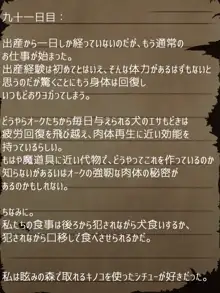 賢者ラヴィニアの手記～旧オーク砦にて発掘された遺稿～, 日本語