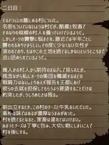 賢者ラヴィニアの手記～旧オーク砦にて発掘された遺稿～, 日本語