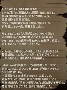 賢者ラヴィニアの手記～旧オーク砦にて発掘された遺稿～, 日本語