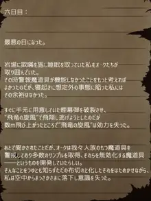 賢者ラヴィニアの手記～旧オーク砦にて発掘された遺稿～, 日本語