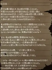 賢者ラヴィニアの手記～旧オーク砦にて発掘された遺稿～, 日本語