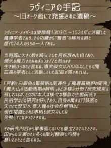 賢者ラヴィニアの手記～旧オーク砦にて発掘された遺稿～, 日本語