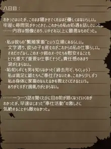 賢者ラヴィニアの手記～旧オーク砦にて発掘された遺稿～, 日本語