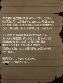 賢者ラヴィニアの手記～旧オーク砦にて発掘された遺稿～, 日本語