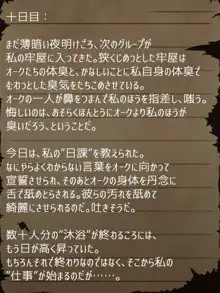 賢者ラヴィニアの手記～旧オーク砦にて発掘された遺稿～, 日本語