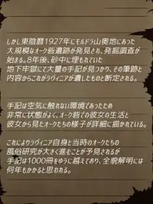 賢者ラヴィニアの手記～旧オーク砦にて発掘された遺稿～, 日本語