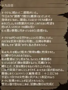 賢者ラヴィニアの手記～旧オーク砦にて発掘された遺稿～, 日本語